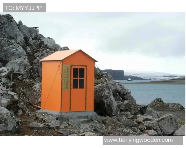 琼斯的探索之旅：揭开科学与人文交汇的神秘面纱